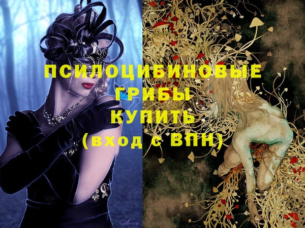 spice Баксан