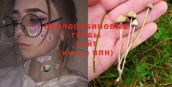 spice Баксан