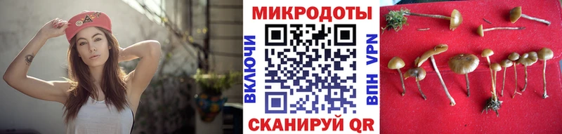 Галлюциногенные грибы GOLDEN TEACHER Сухиничи