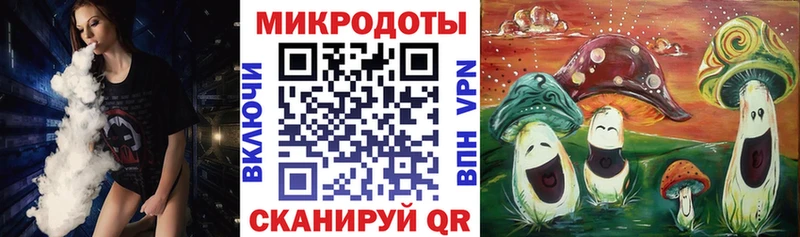 дарнет шоп Сухиничи Галлюциногенные грибы Psilocybe